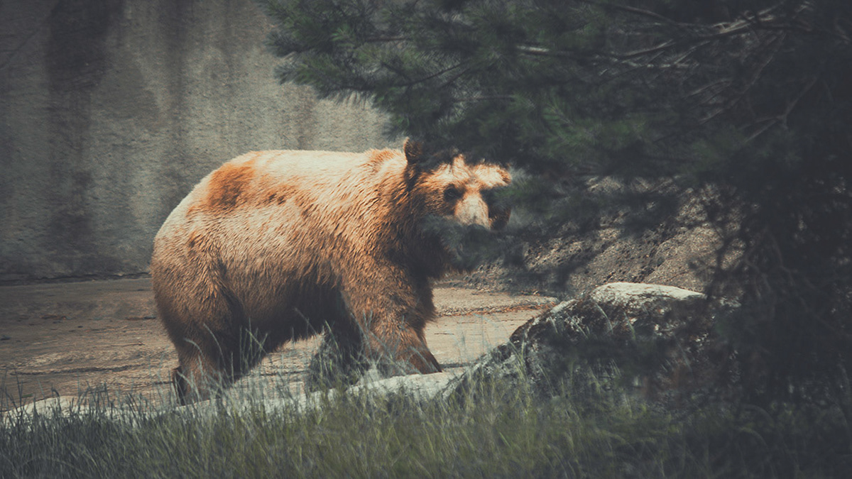 If he comes for you ... run, run run! The haunter is already lurking for you!