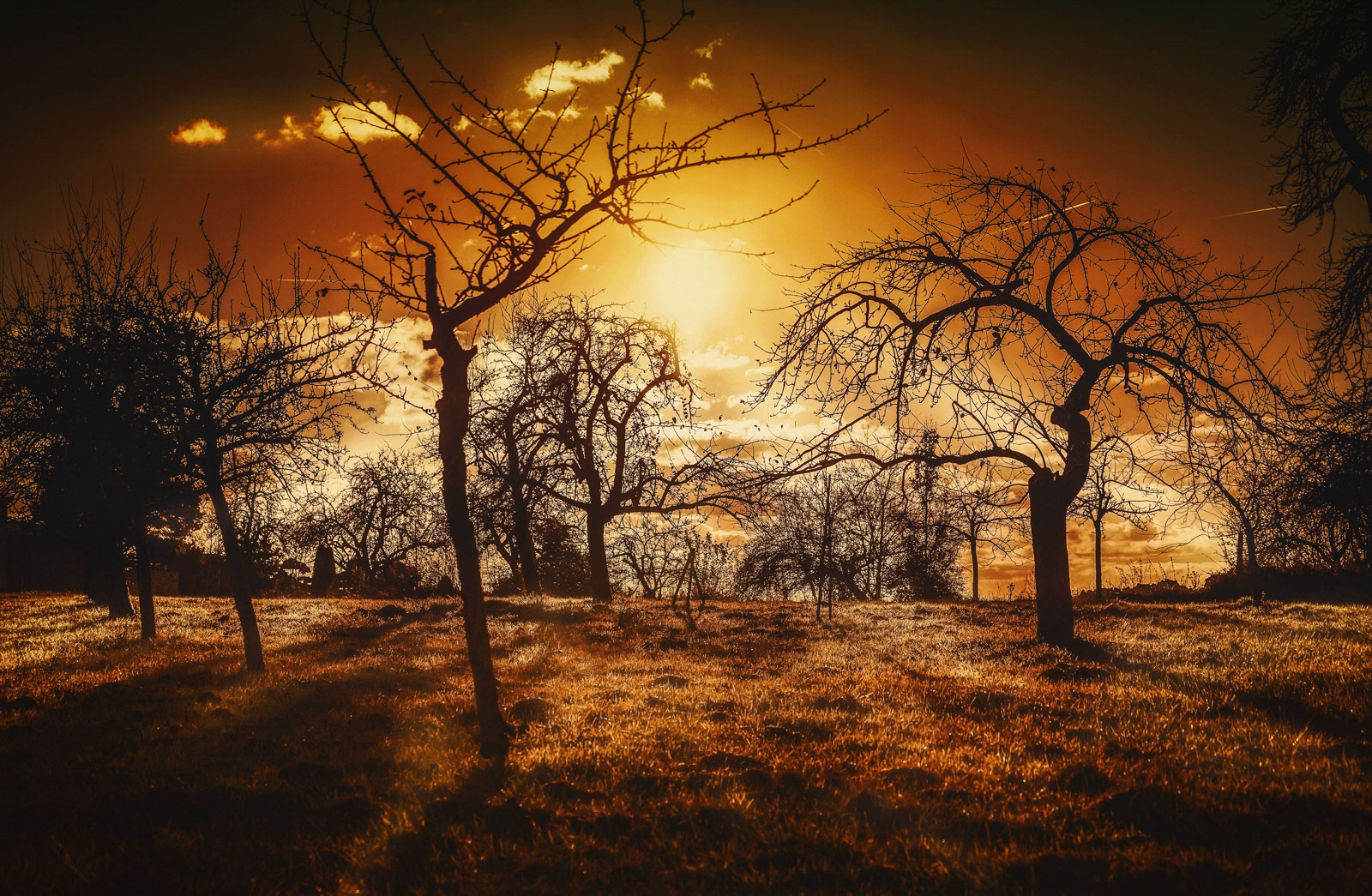 A wonderful scenery in late autumn shows the evanescence of the beautiful sun.