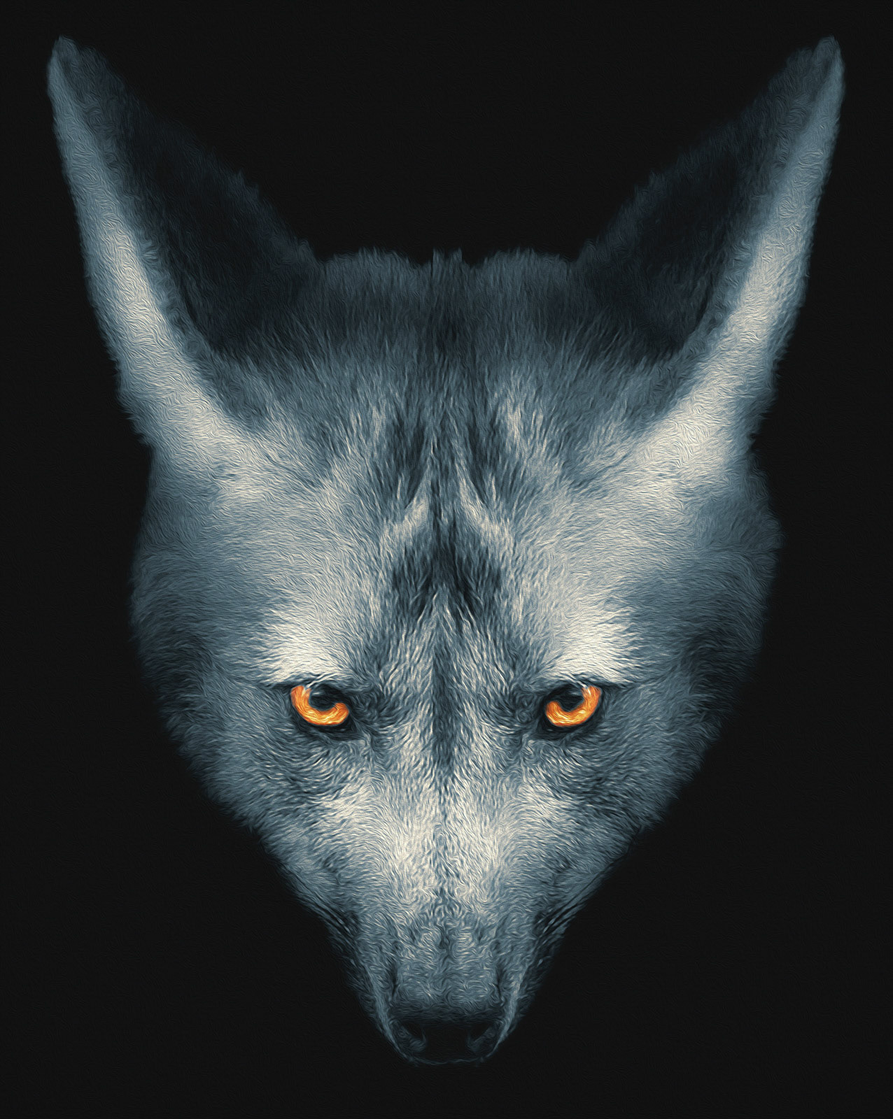 Wolf face portrait