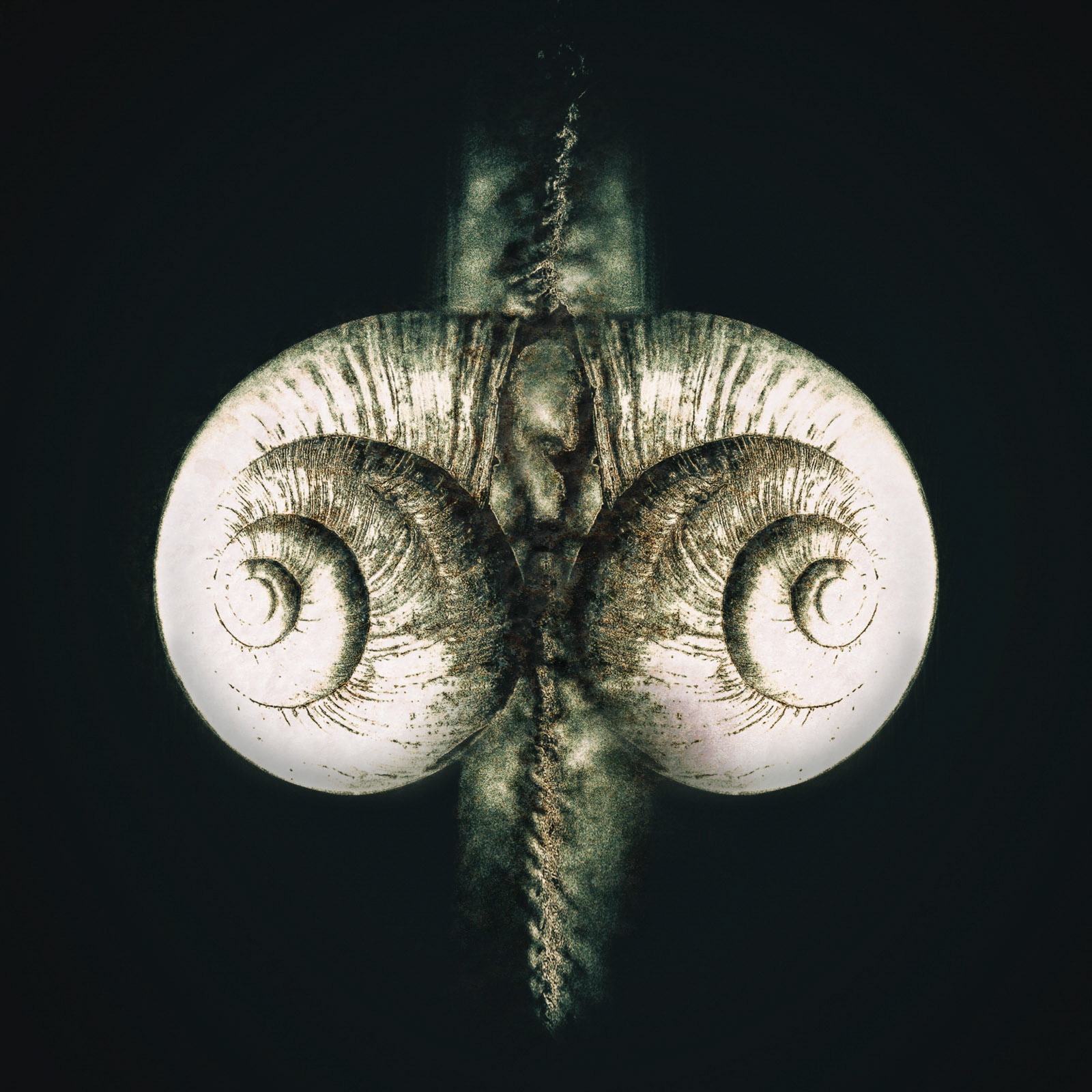 Very abstract artwork of a snail.