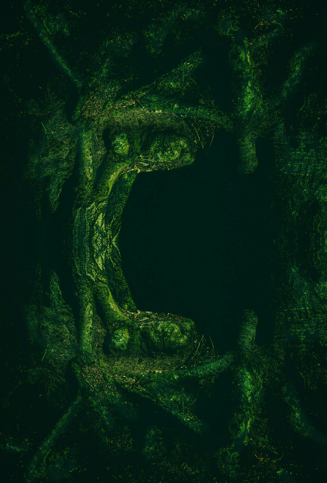 Surreal scene of a deep green and dark forest entrance.