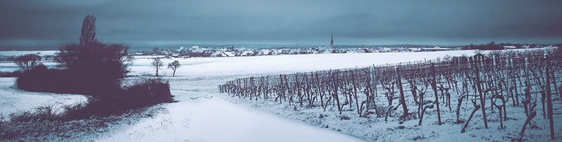 A cold saturday in early January 2019. It was snowing at night and so I went out to the local vineyards. The fields and the villages are covered with snow. It makes a romantic feeling in my heart to see this beautiful landscape in such pure winter harmony. The village you can see on this picture is named Abtswind. This panorama was made with a 40 macro lens out of 3 single pictures.