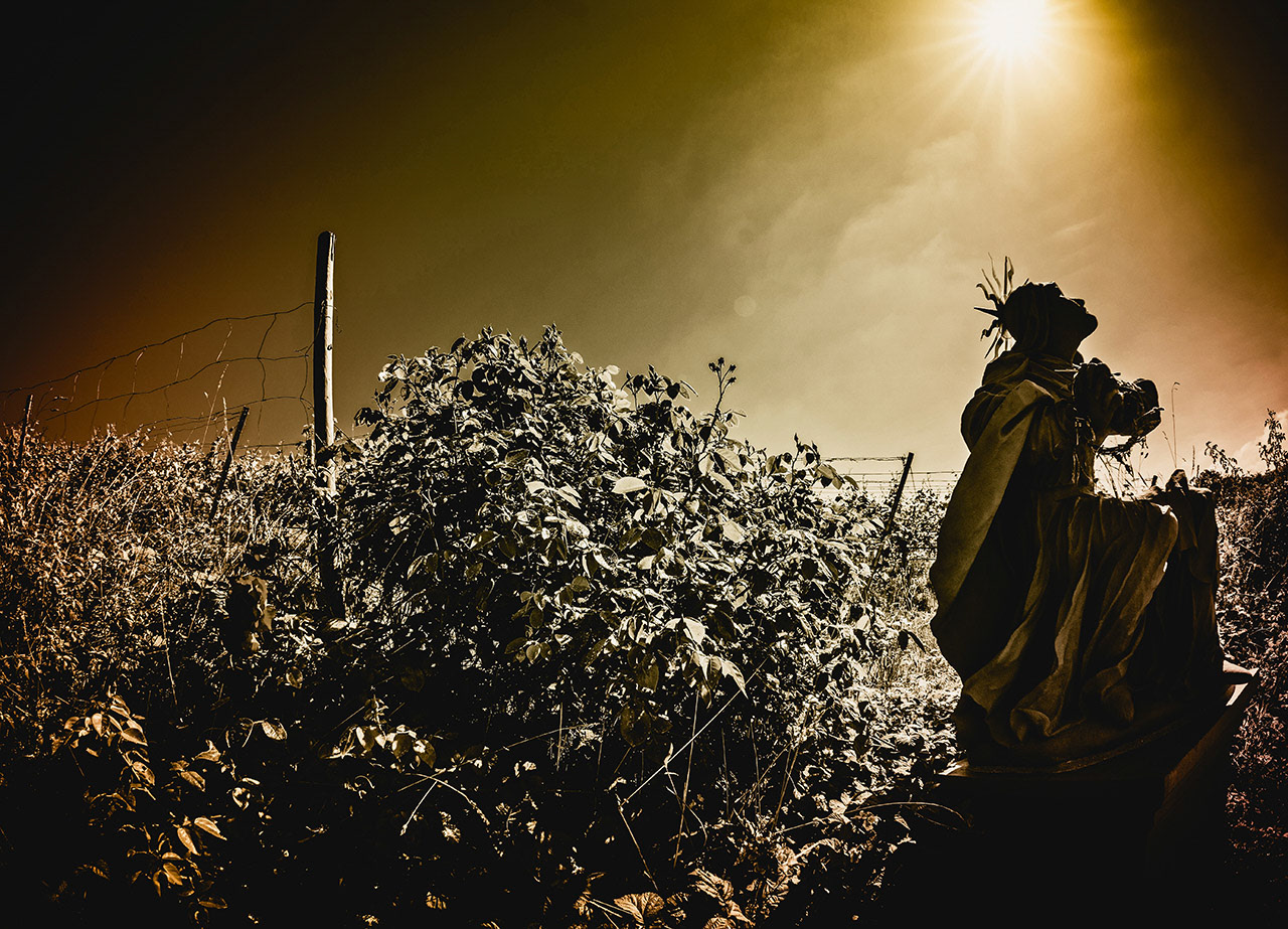 I think I was lucky to get this position of the sun at exactly this position.