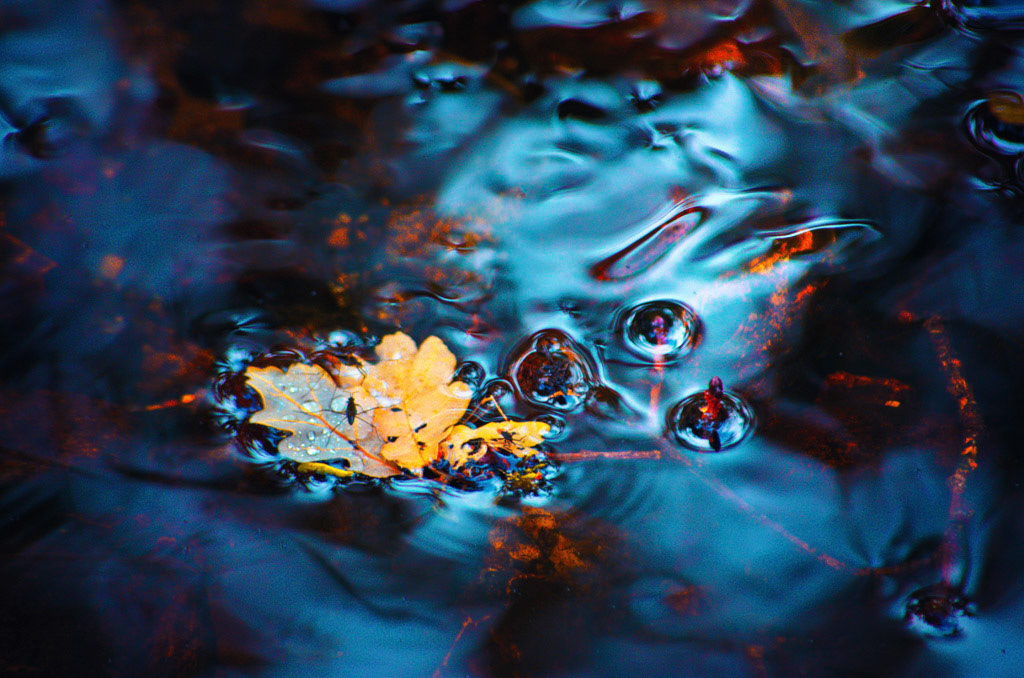Aren't we all a leaf in a big floating ocean of time? This scene describes for me the evanescence of time ..