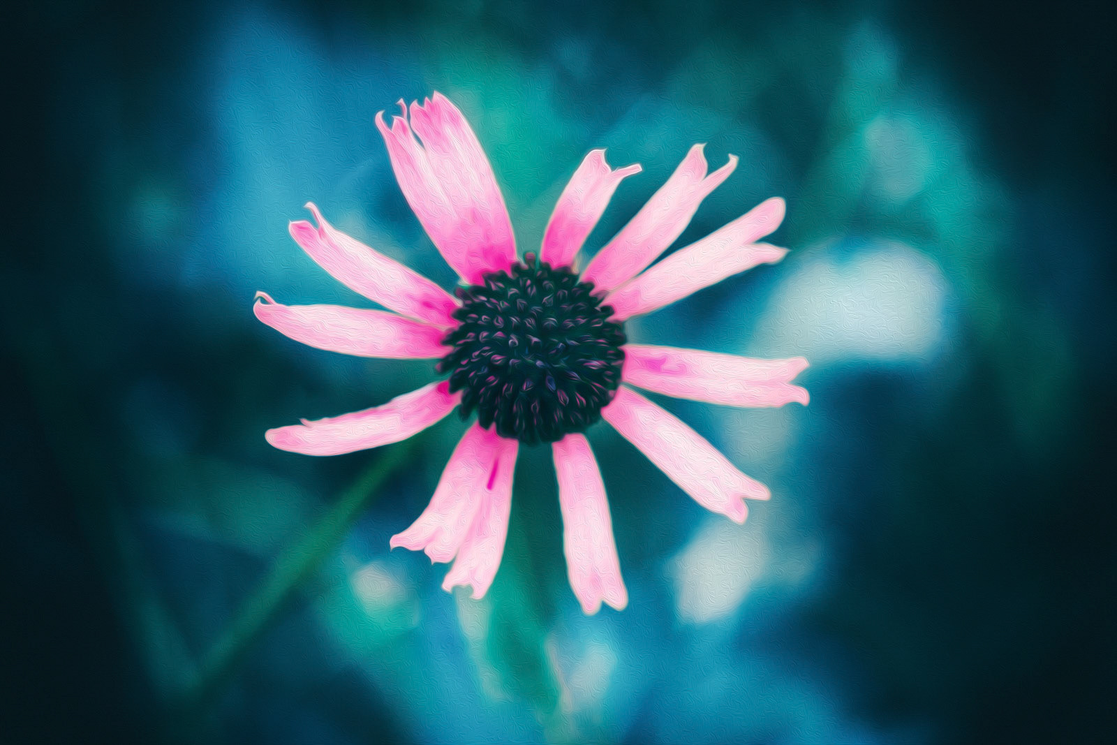Beautiful pink coloured flower in artwork style.
