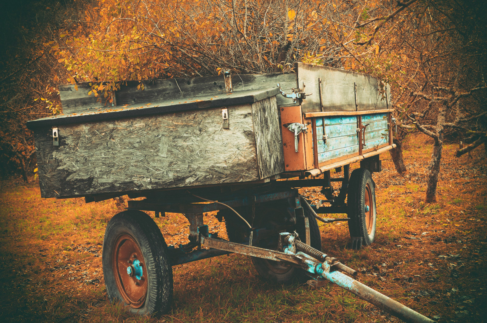 Full harvest trailer standing on the field in autumn