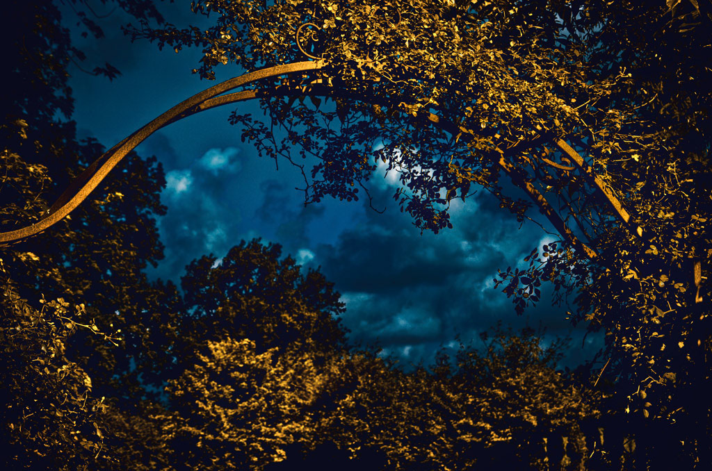 The view through this hedge reveals the surreal gate to the world.