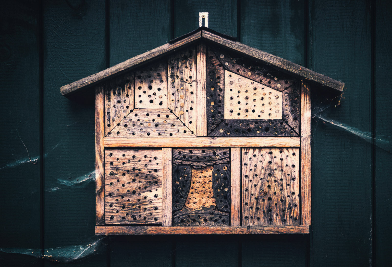 It is weathered and full of spider webs: This bee hotel seems to be very abandoned. I tried to observe this small home of bees, but after 10 minutes not a single bee or insect came to this house. Very sad.