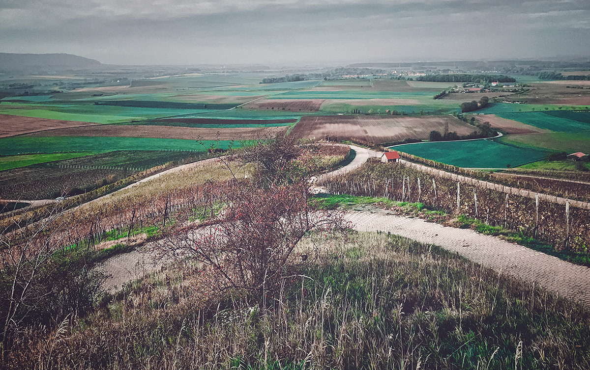 This is a very romantic and special place in my home vineyards. Some couples even marry here on the hill between the growing wine. Together with this amazing view, it is a very romantic location.