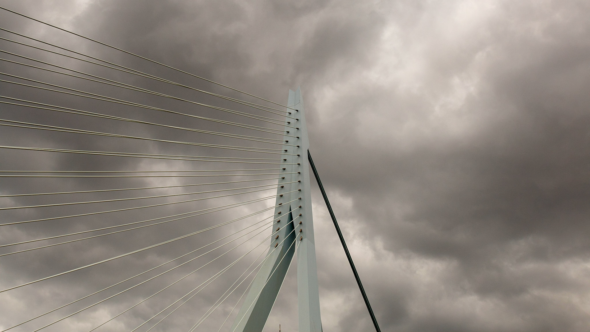 Erasmusbrug