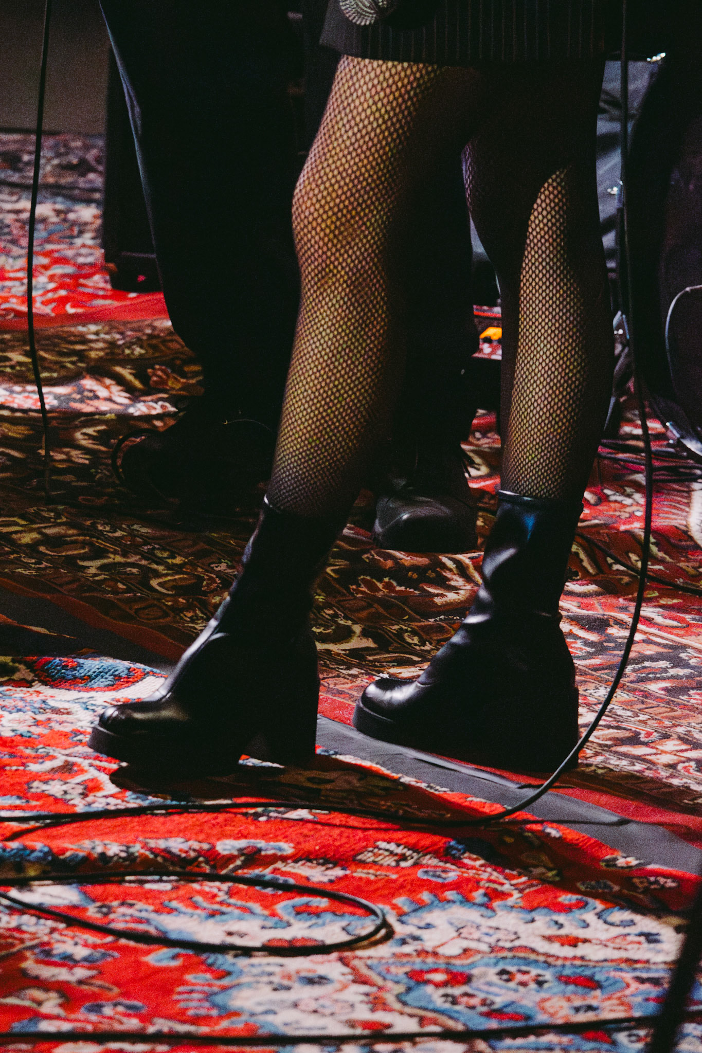 groovy turtles band | march 21 2025