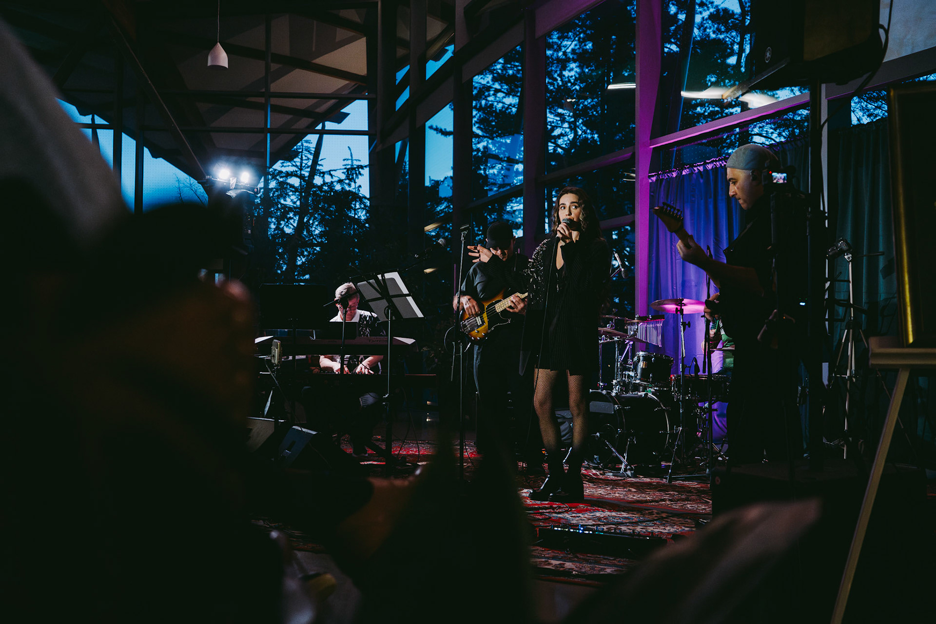 groovy turtles band | march 21 2025