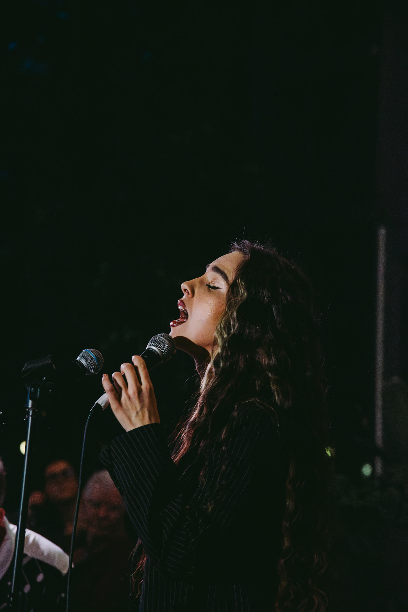 groovy turtles band | march 21 2025