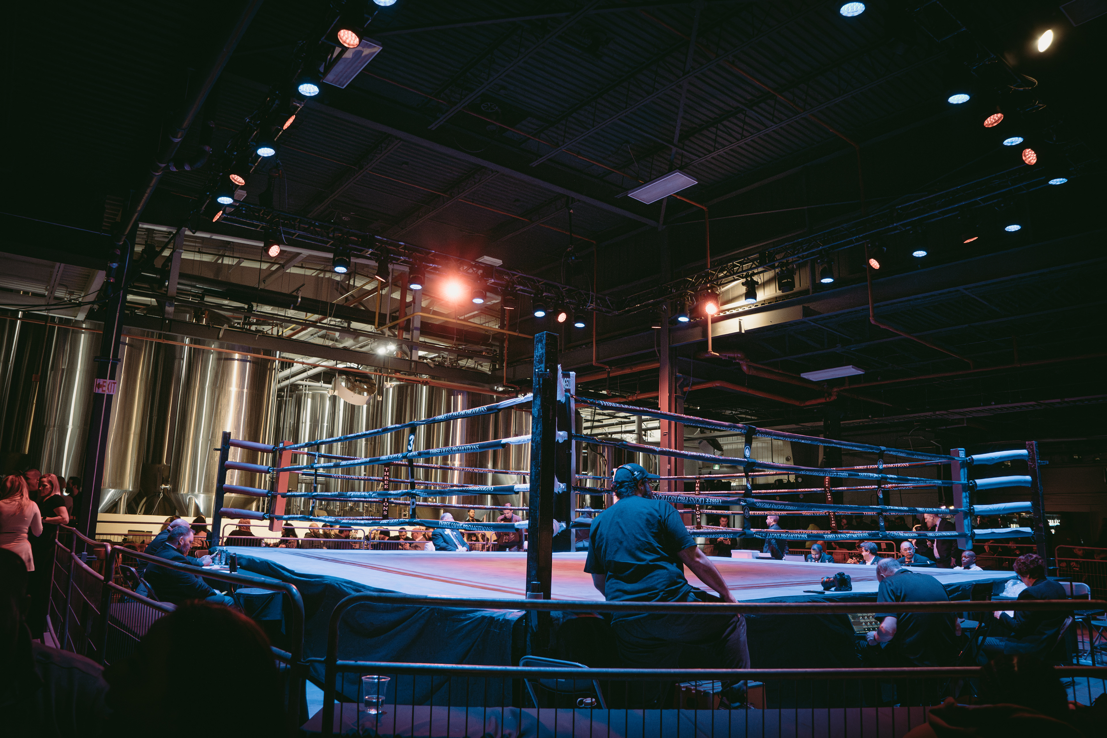 canadian super middleweight title | march 29 2025