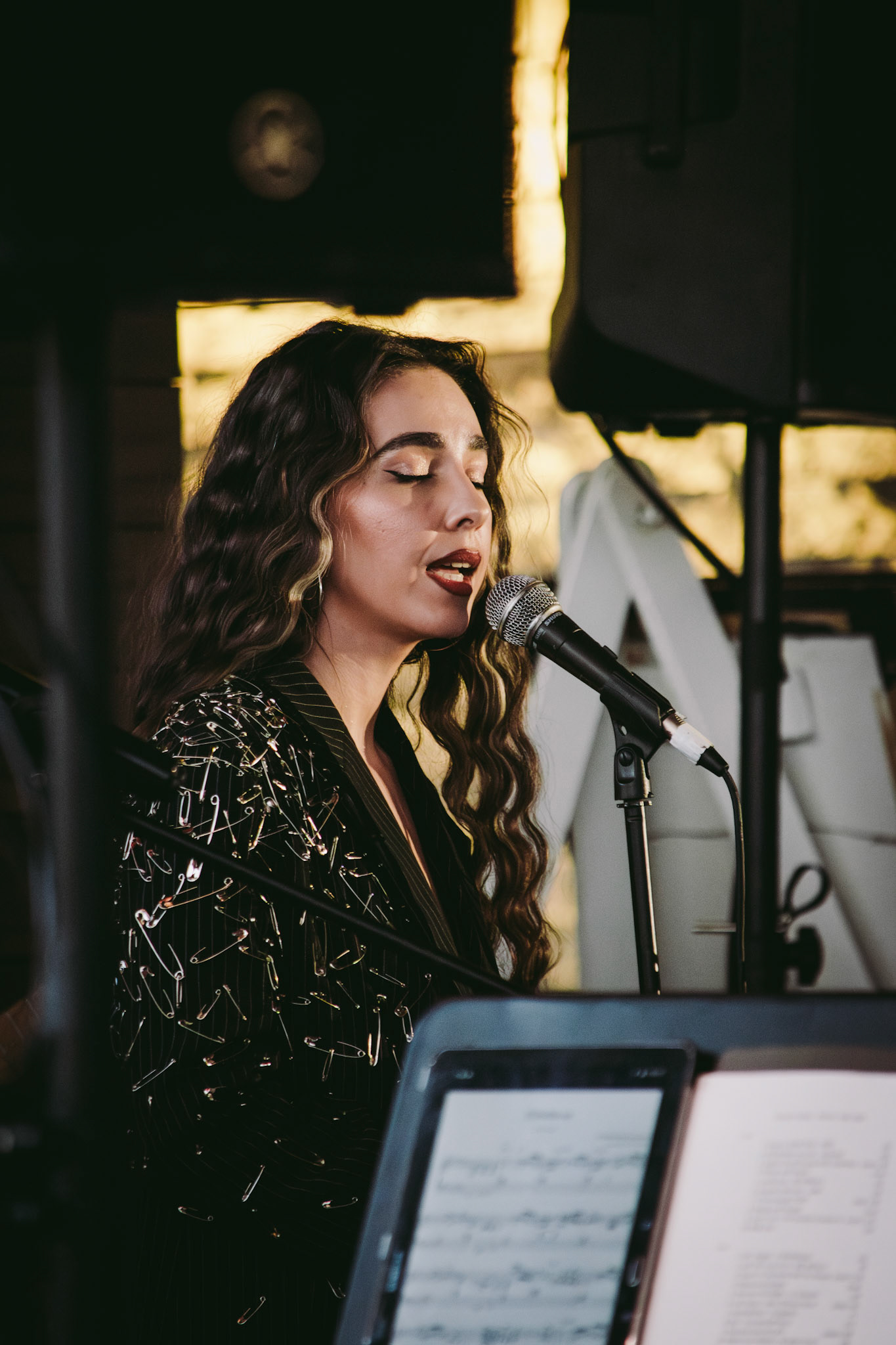 groovy turtles band | march 21 2025