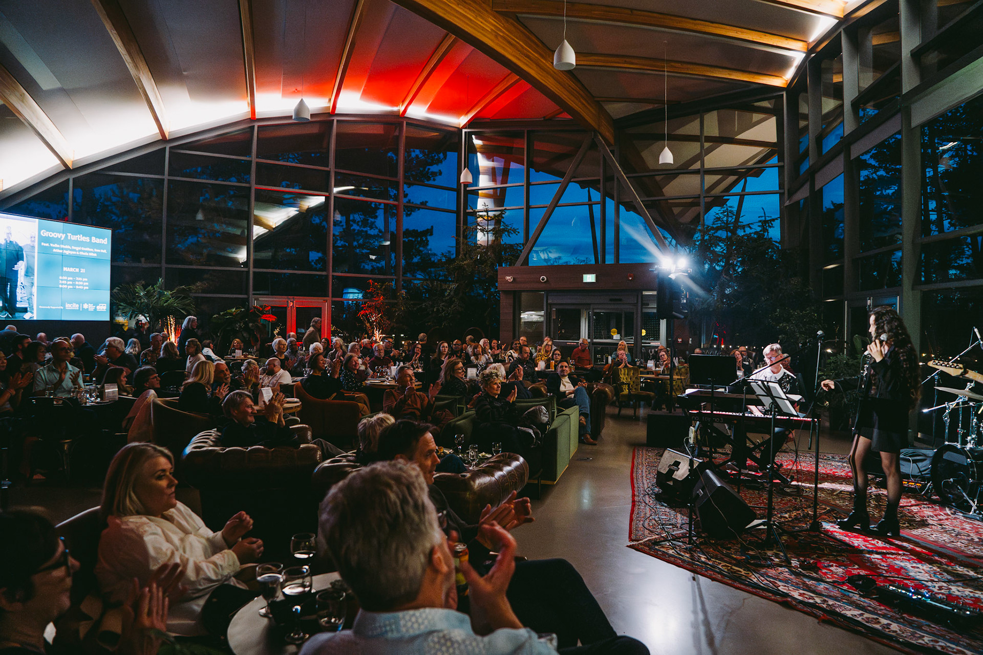 groovy turtles band | march 21 2025