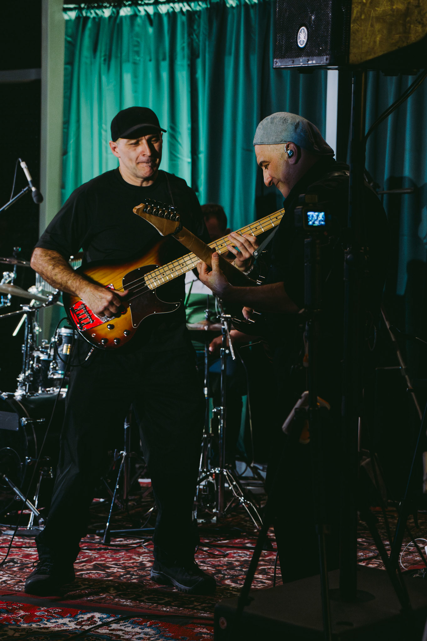 groovy turtles band | march 21 2025