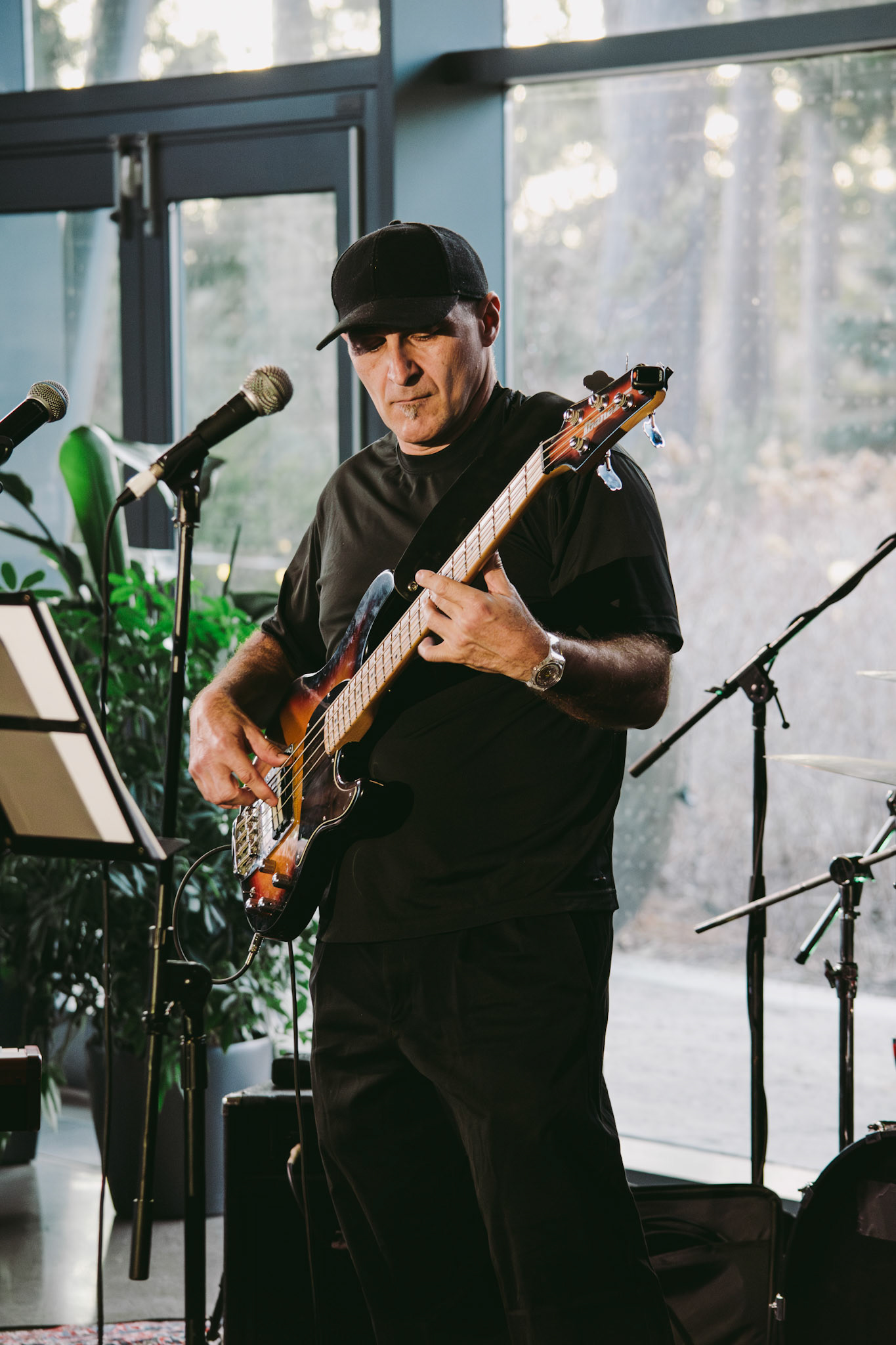 groovy turtles band | march 21 2025