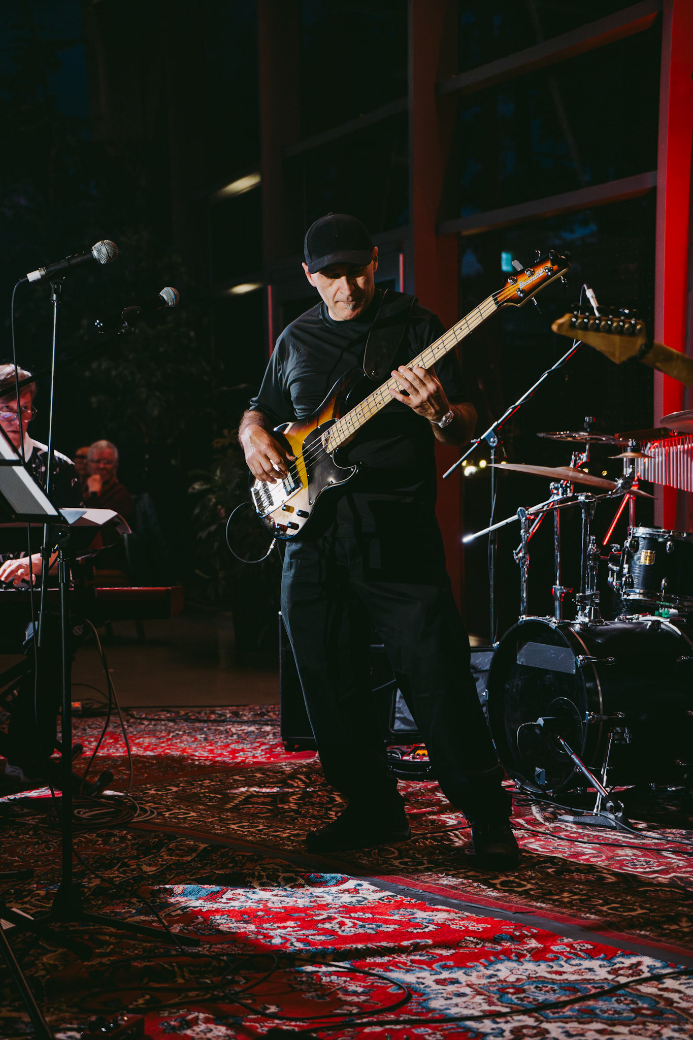 groovy turtles band | march 21 2025