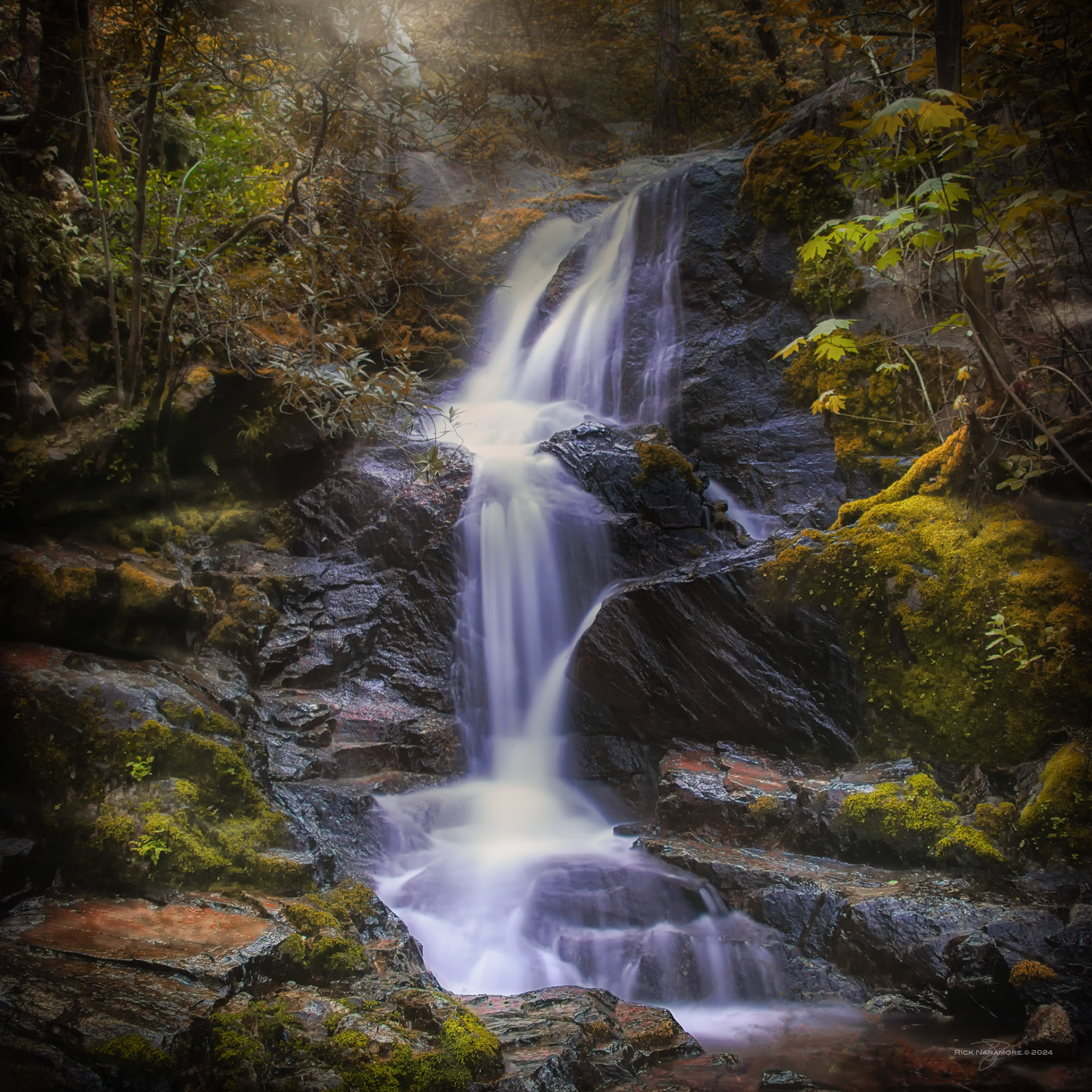 Sequoia National Park, California