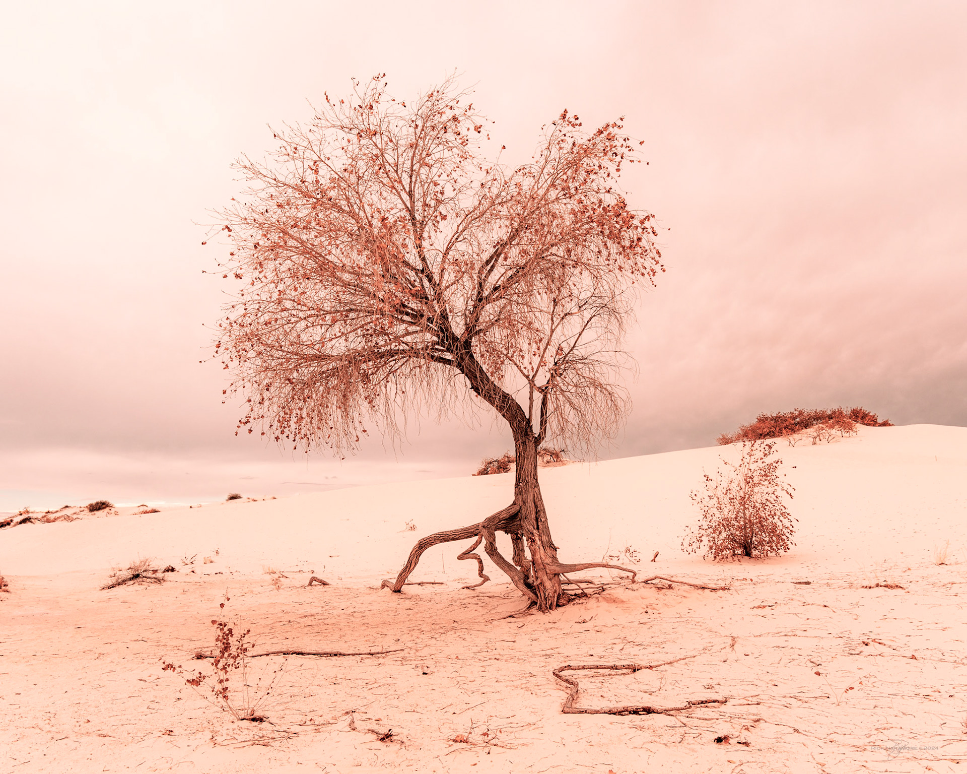 White Sands National Park, New Mexico
