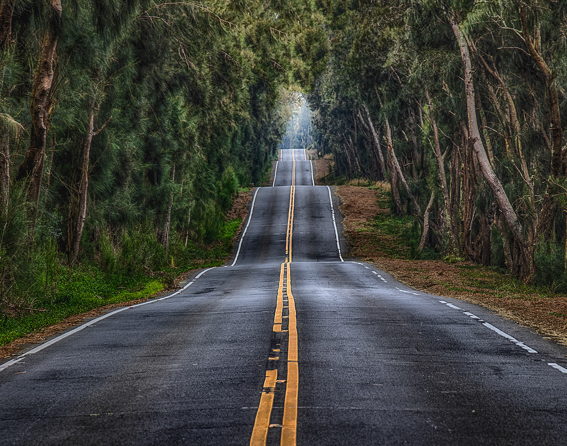 Rt 250, Big Island, Hawaii