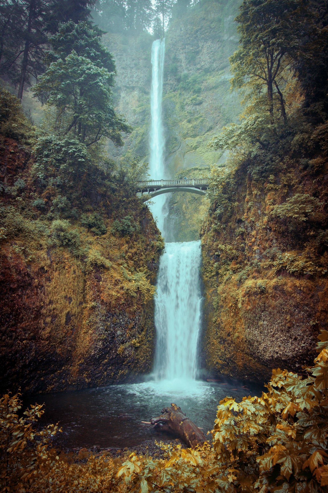 Multnomah Falls, Oregon