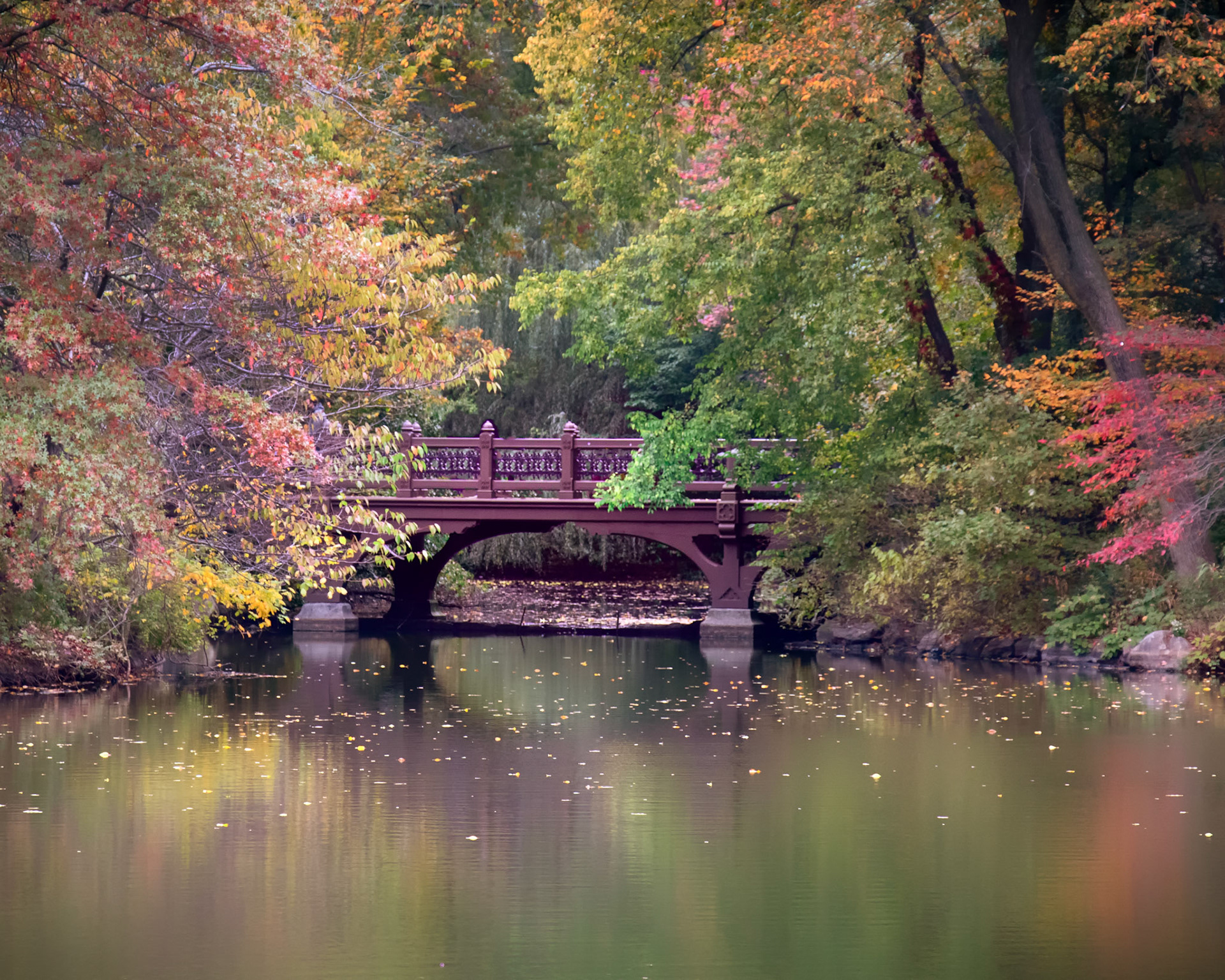 Central Park, New York City