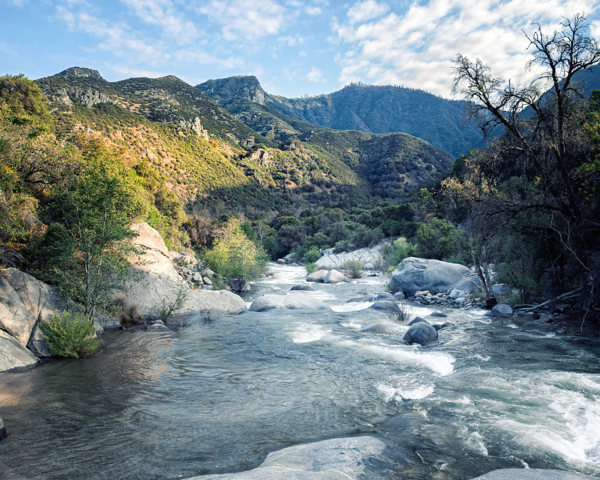 Sequoia National Park, California
