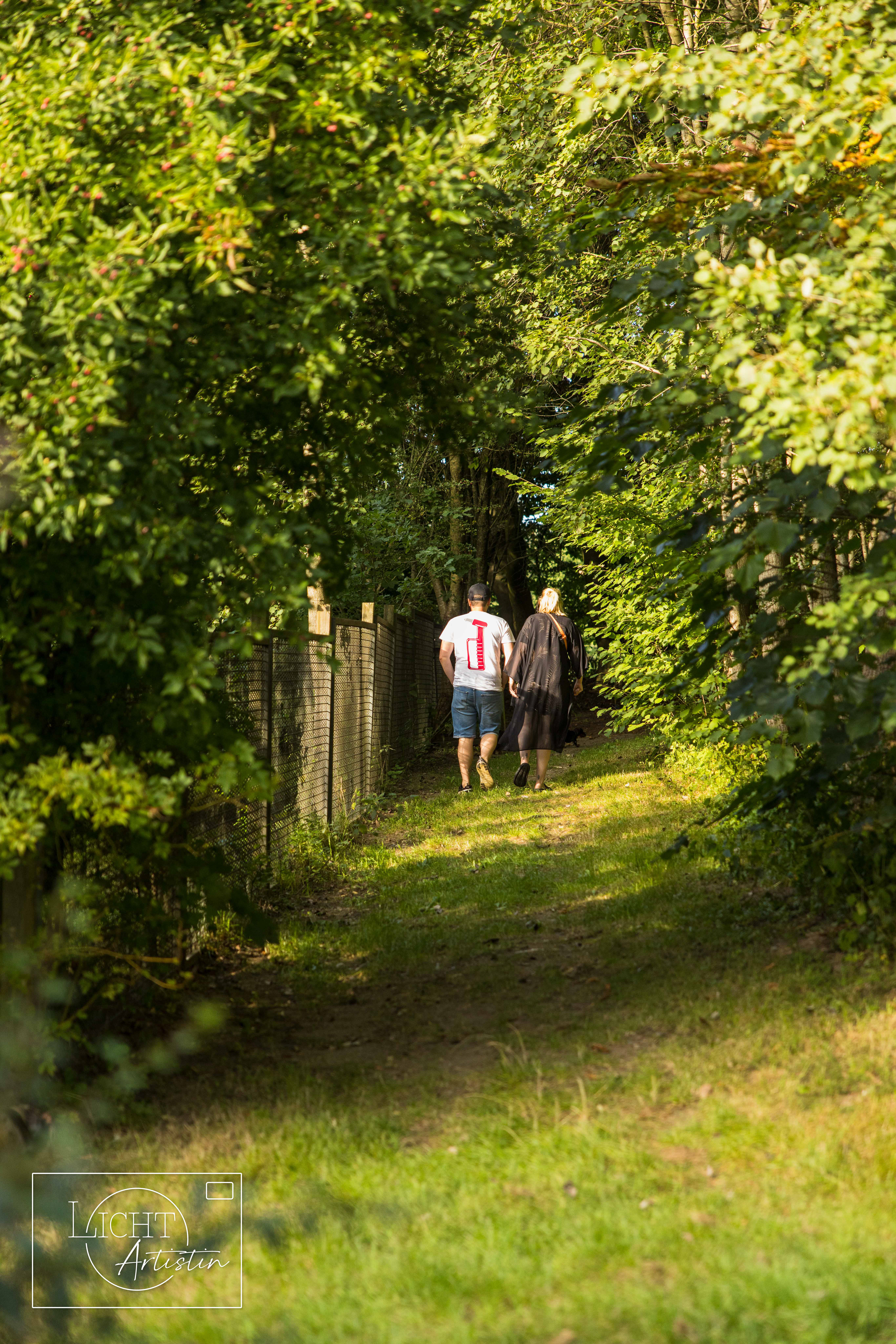 Weg in unser Wäldchen