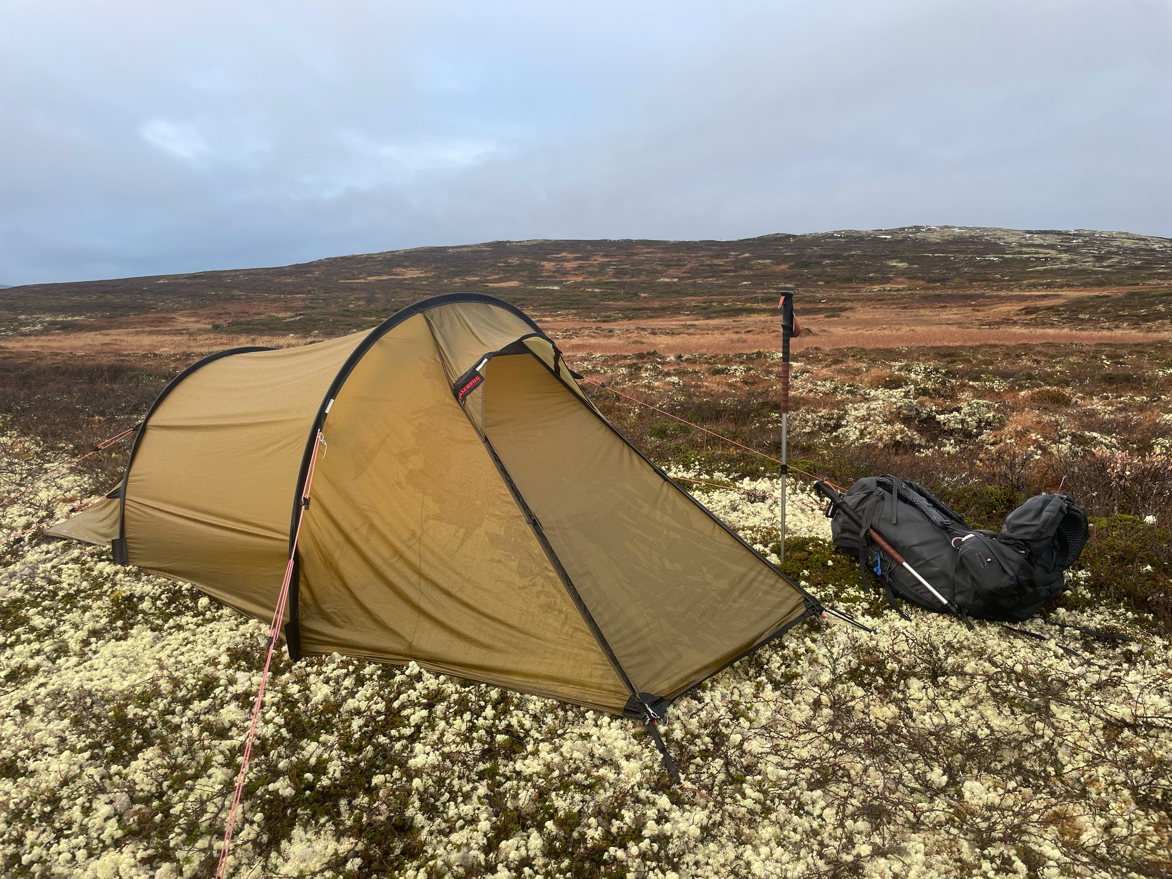 Réveil dans l'humidité