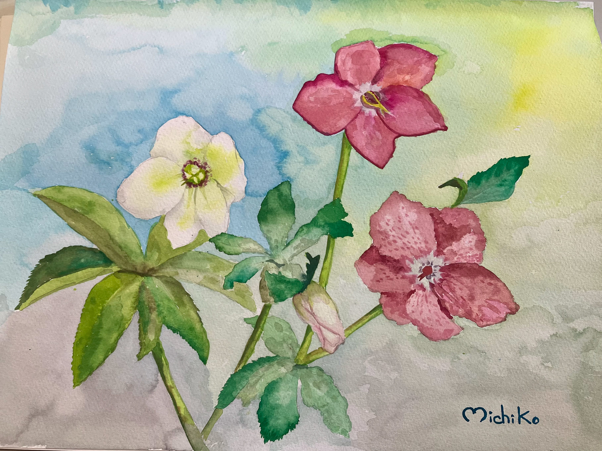水彩画