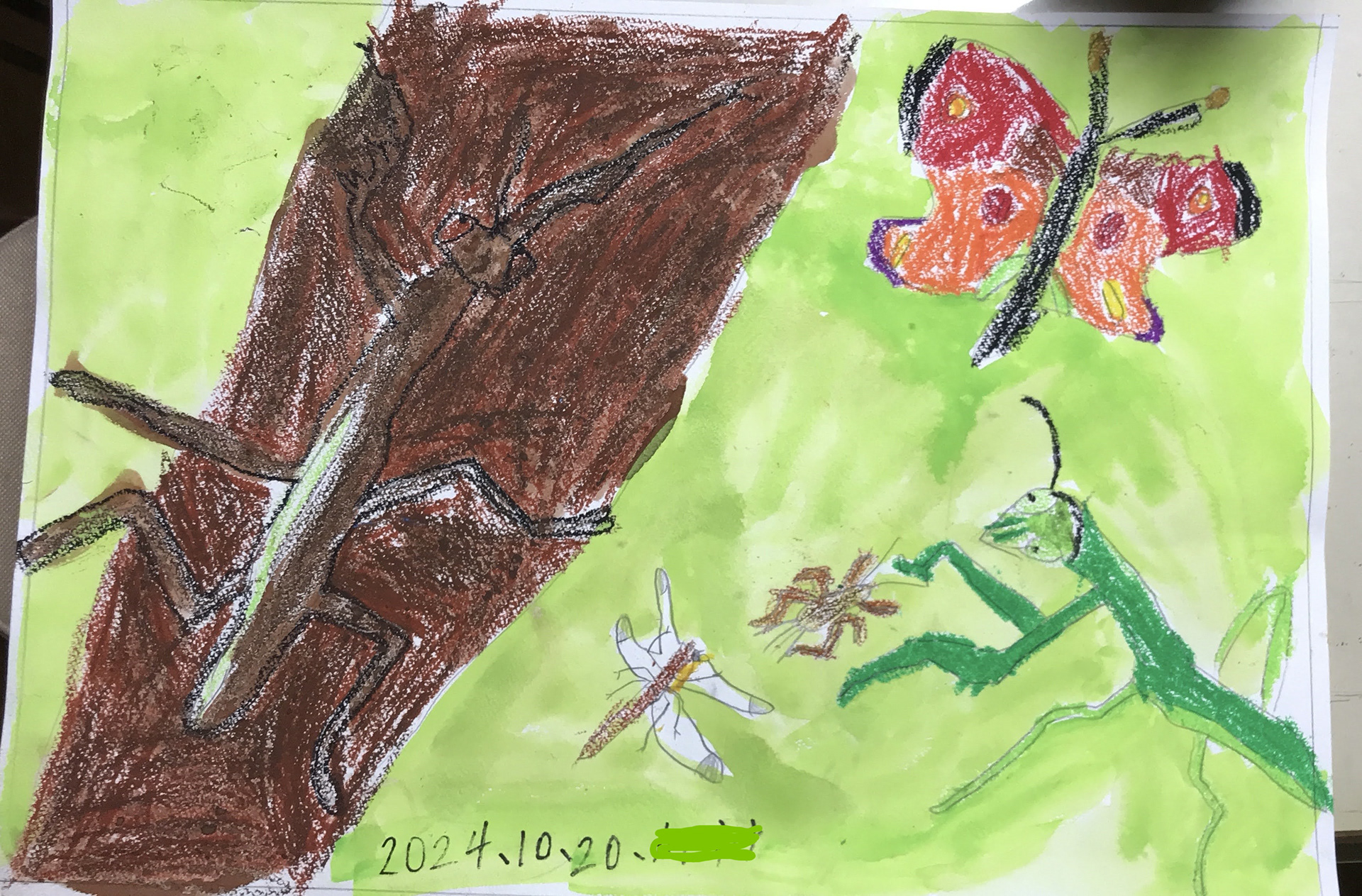 お庭の動植物を描く