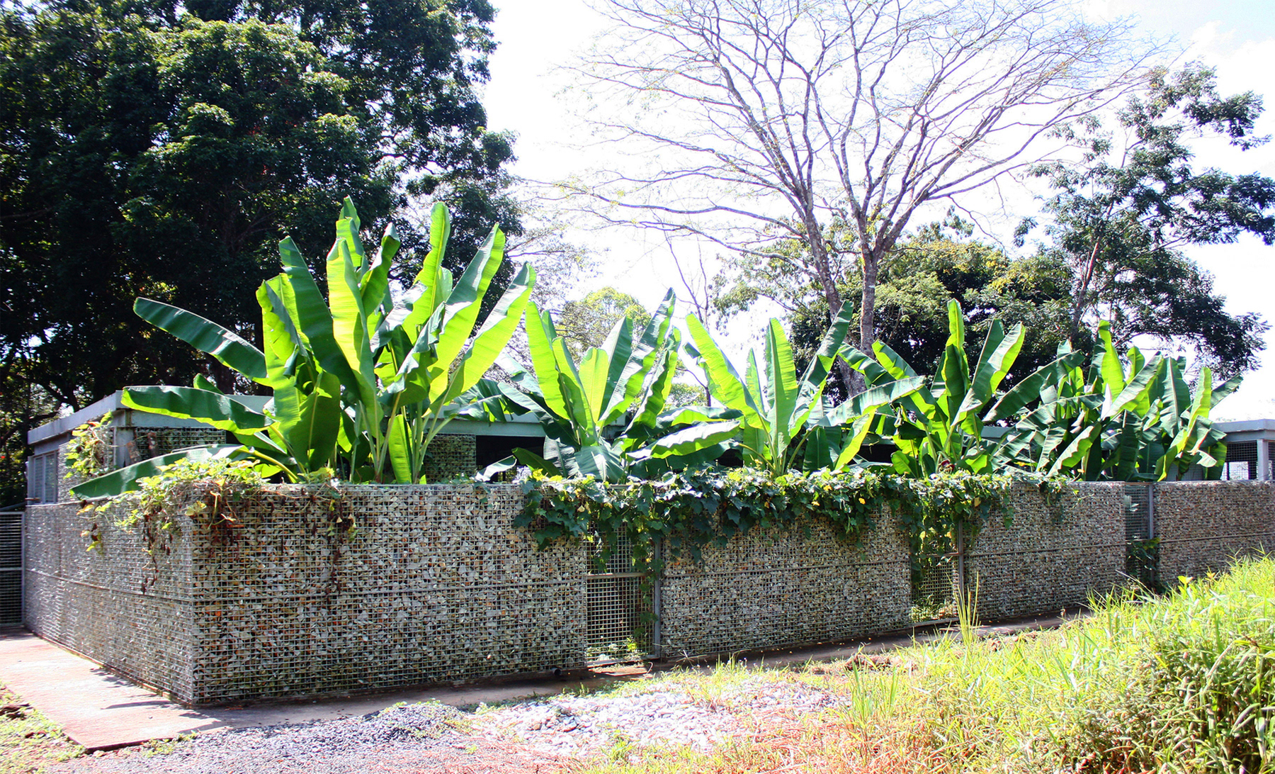 GABION WALL
