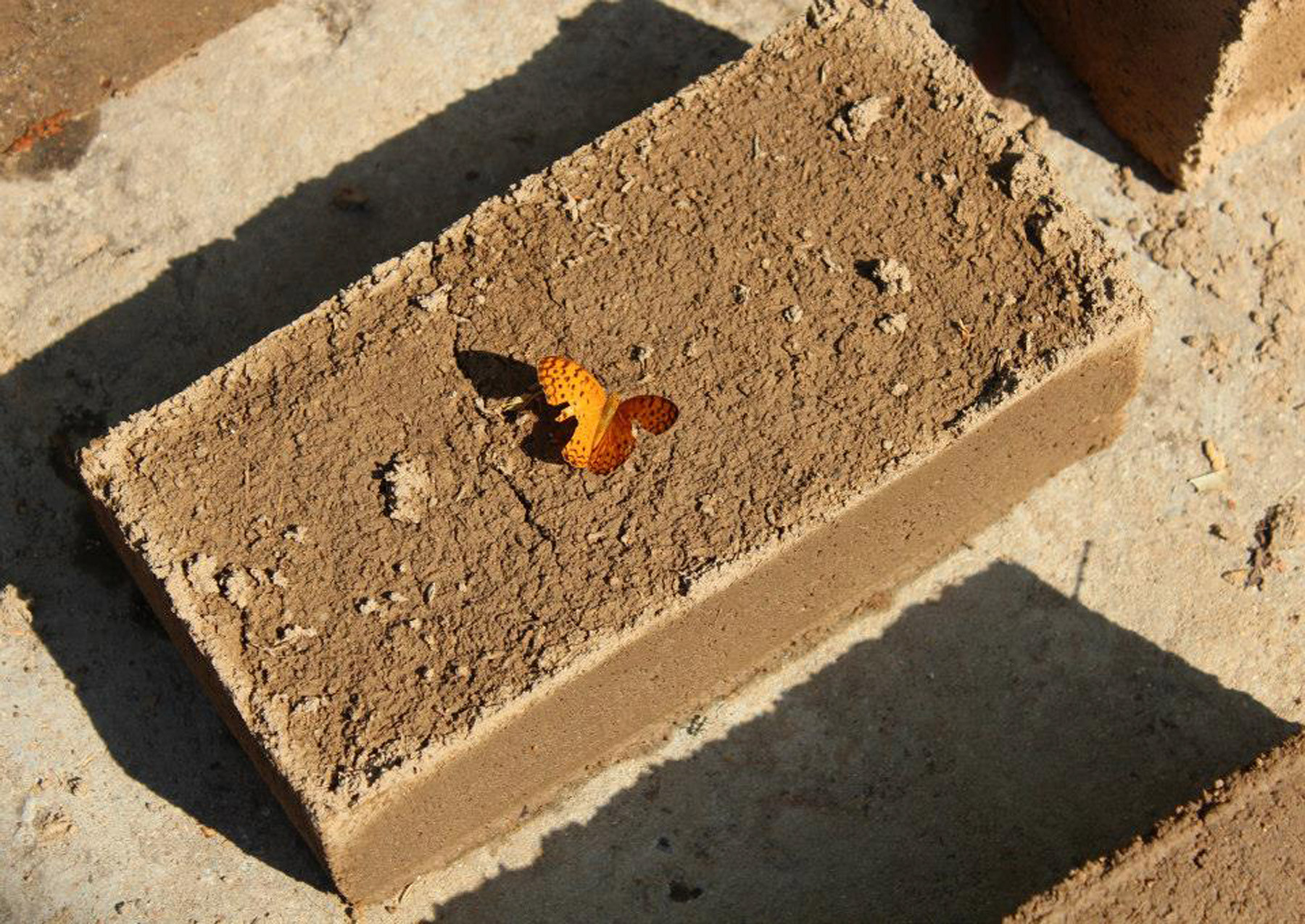 THE PERFECT ADOBE BRICK