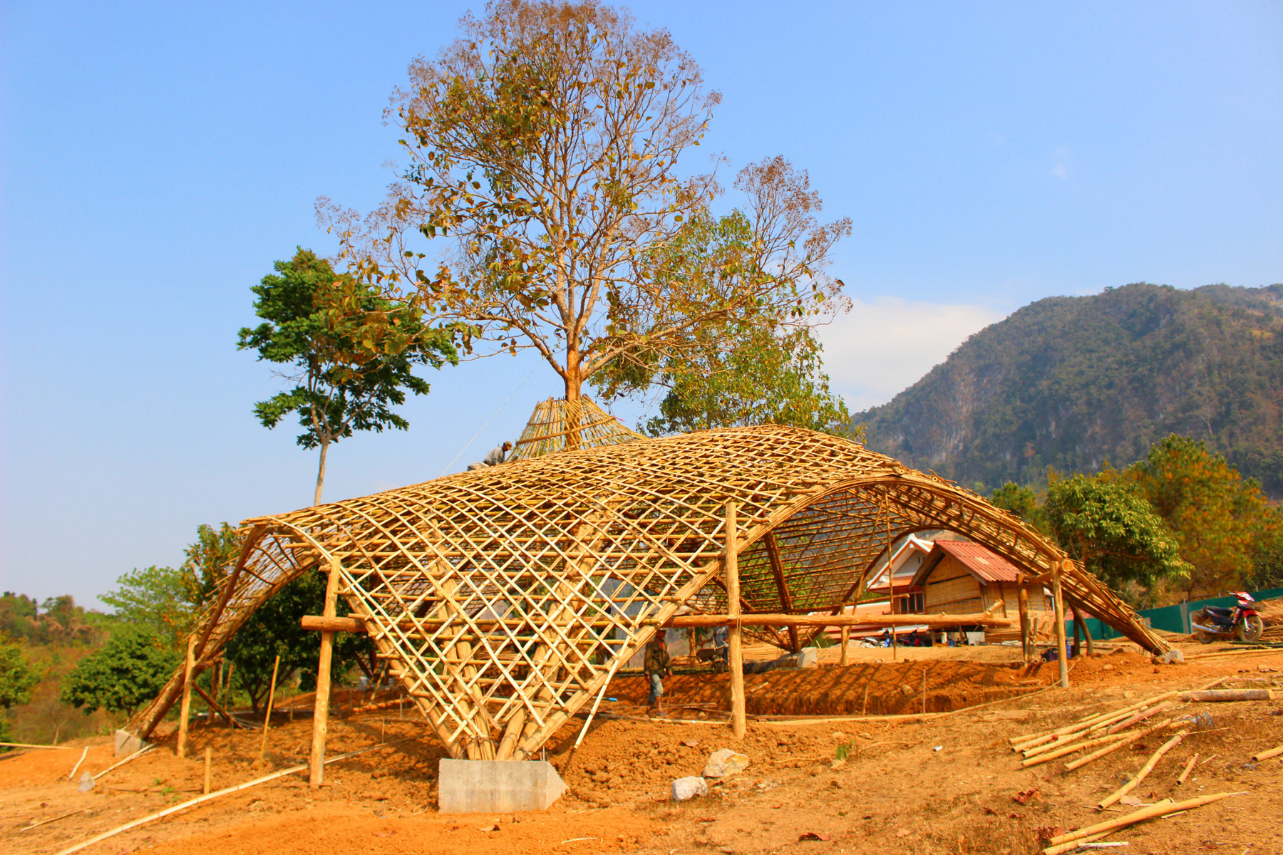 BAMBOO STRUCTURE OF THE BUILDING