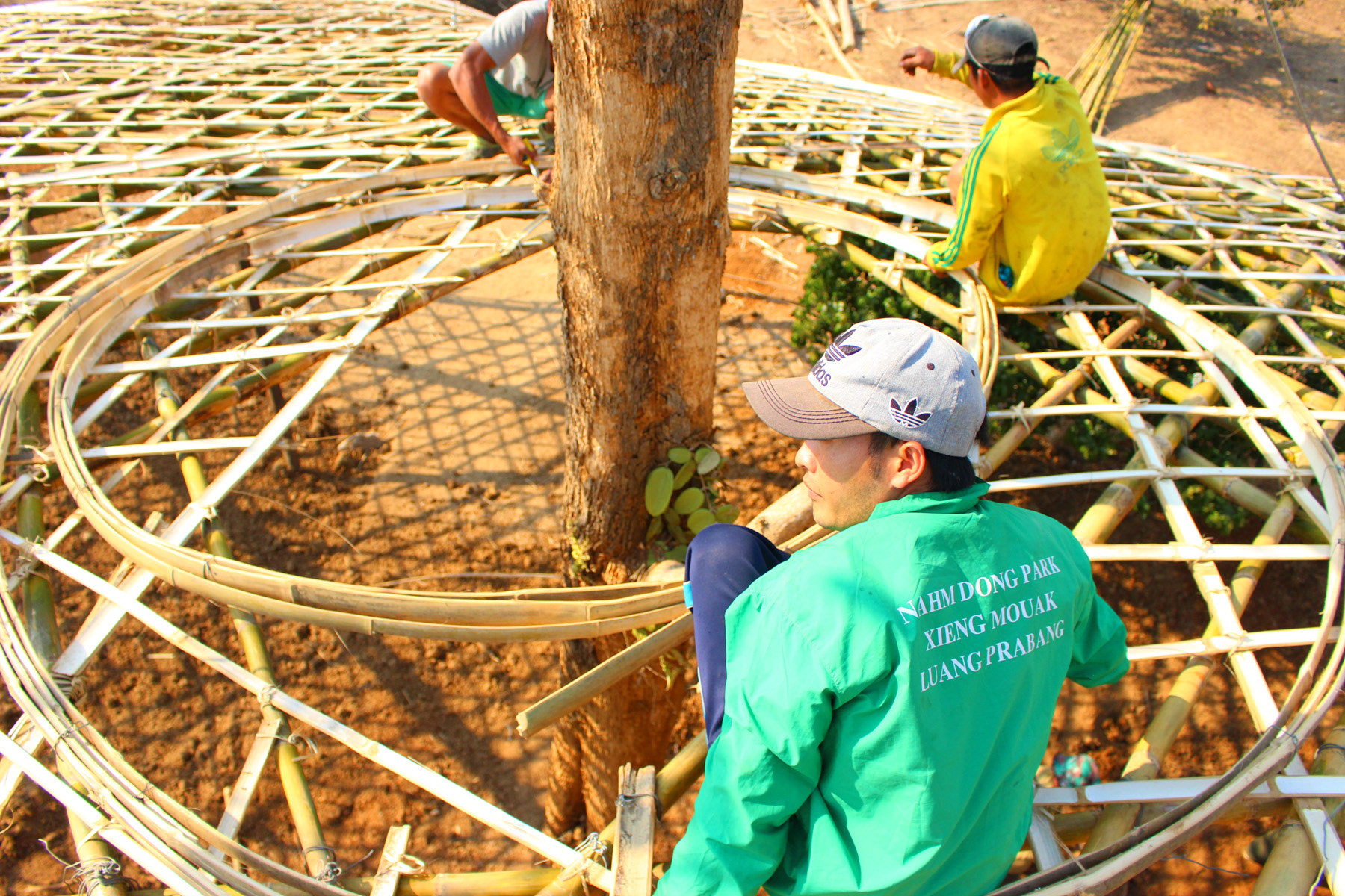 BUILDERS INSTALLING THE BAMBOO RING AROUND THE TREE