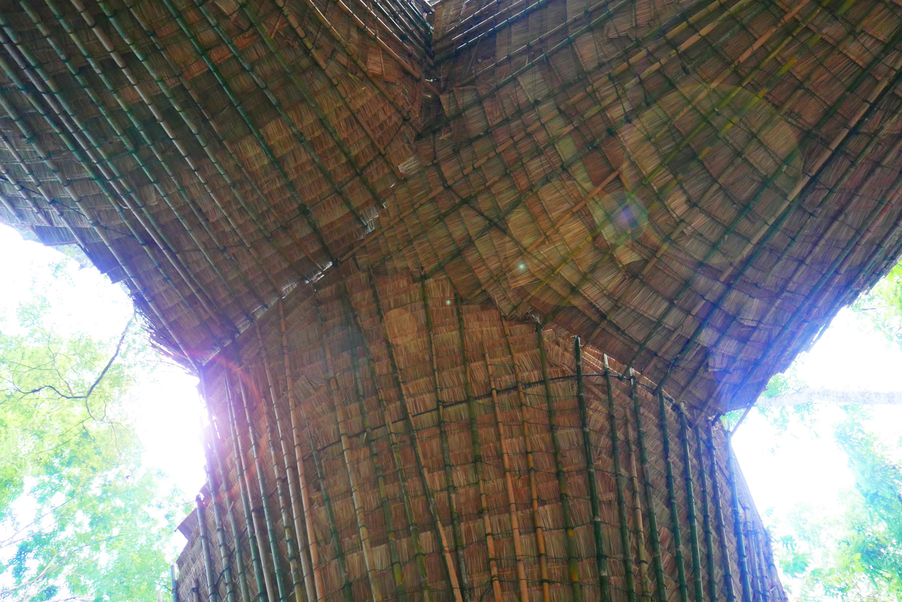 THE ROOF