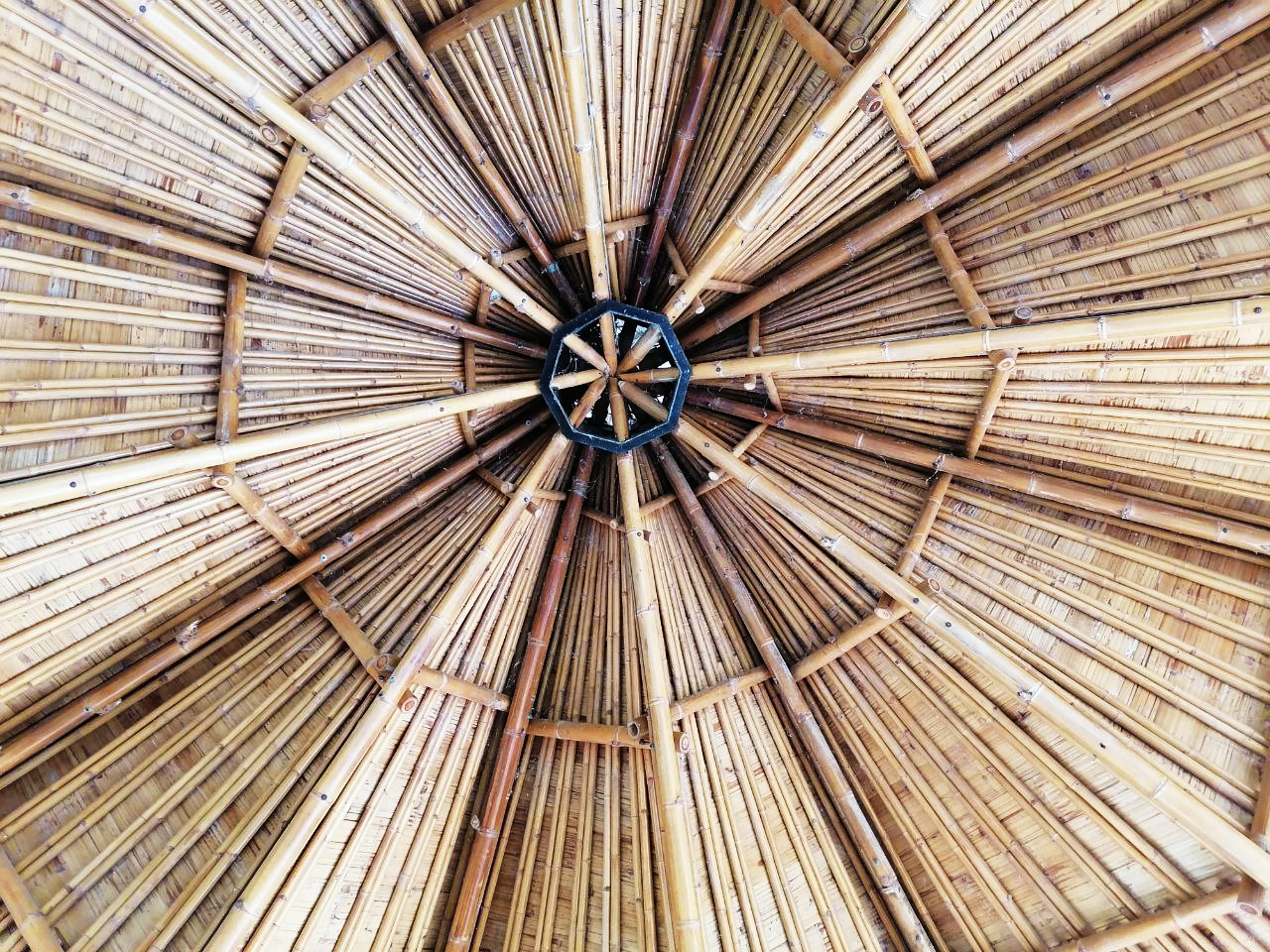 MEDITATION HALL ROOF