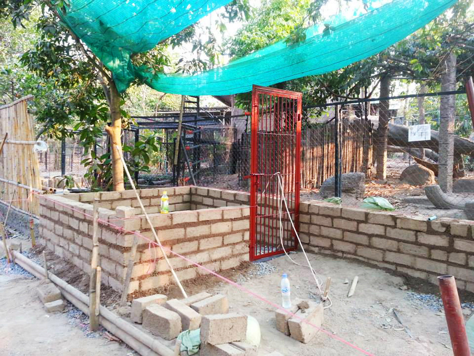 BUILDING THE WALL