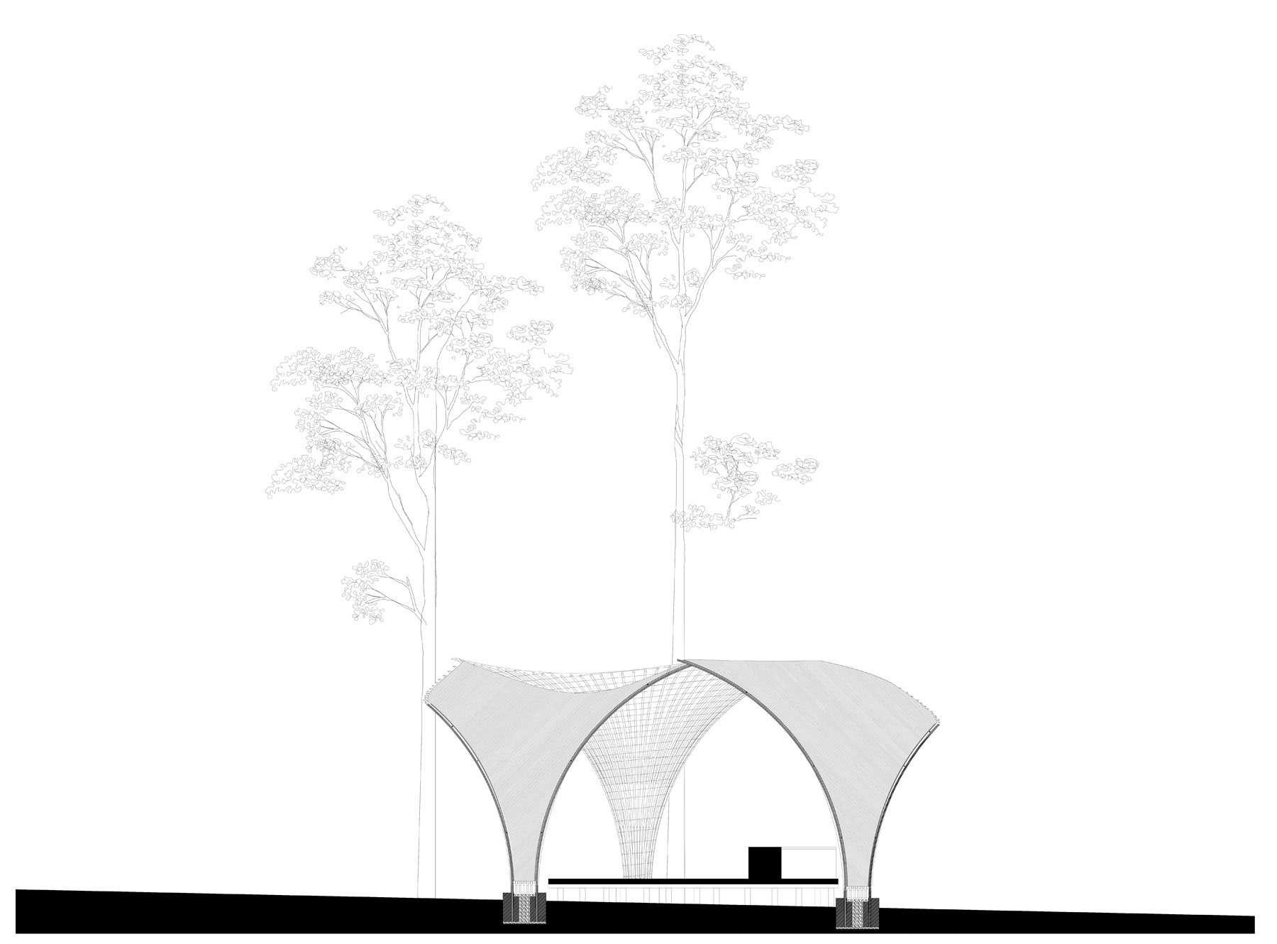 SECTION