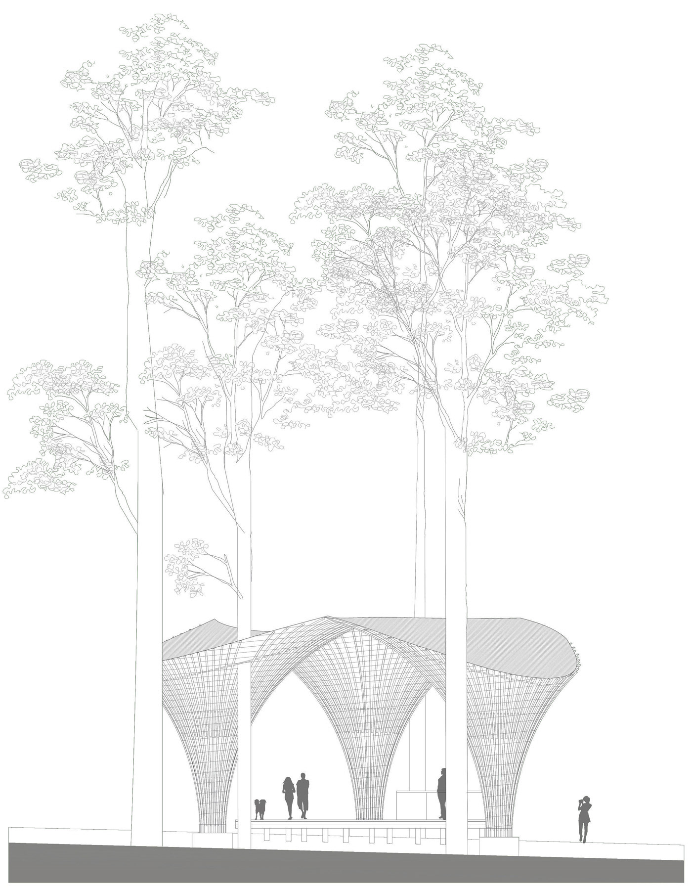 ELEVATION