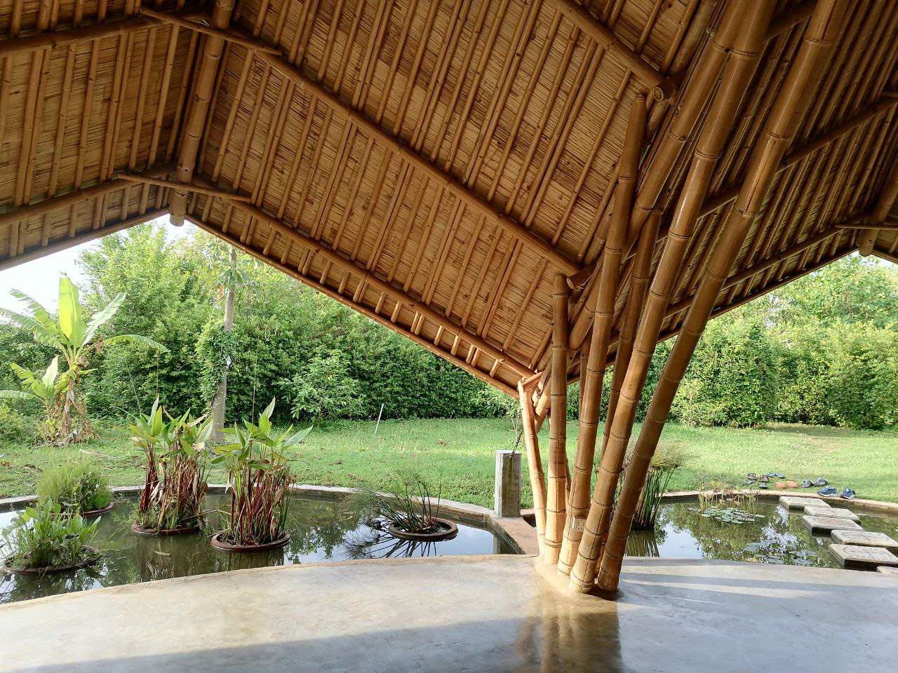 Elevate Your Energy with Yoga and Meditation Retreat — Hanchey Bamboo Resort