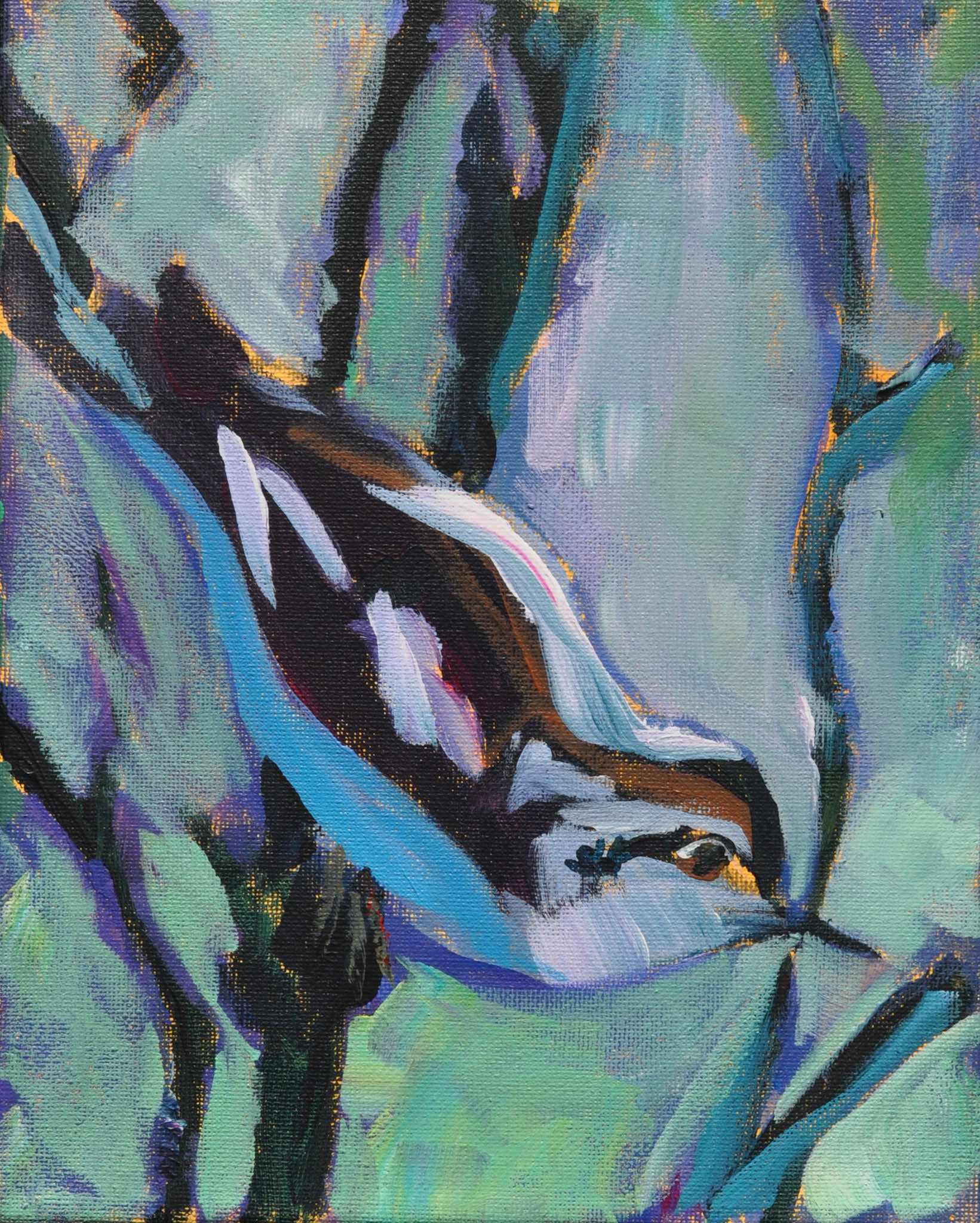 "Nuthatch" Acrylic on Canvas 10"x8" 2015