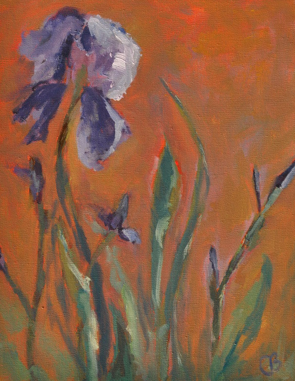 "Sweet Iris" Acrylic on Canvas 14"x11" 2014