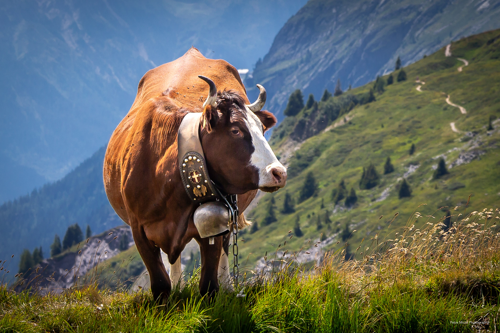 Col des Posettes, Haute-Savoie, France