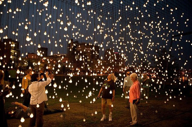 Scattered light 2010