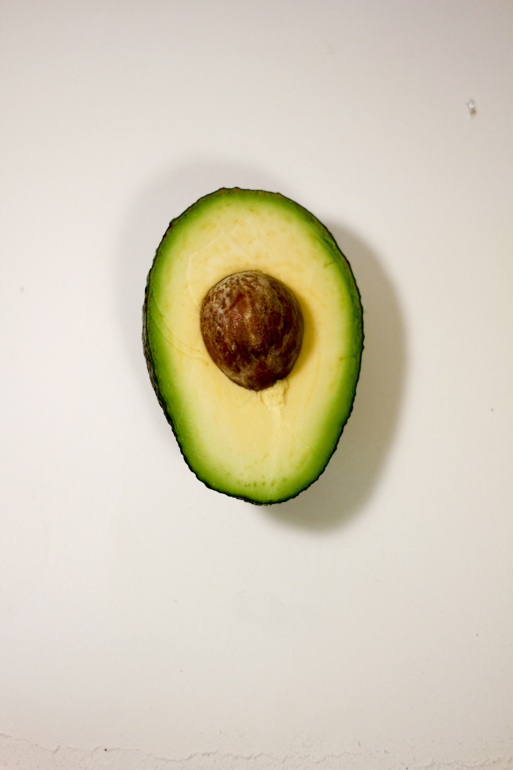 Avocato