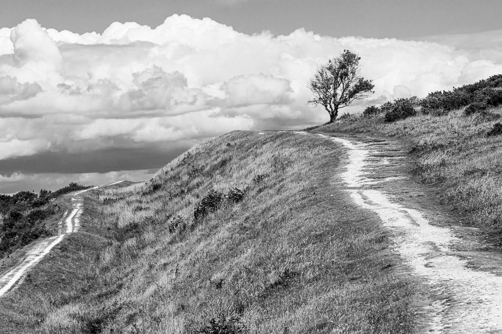 Cissbury Ring