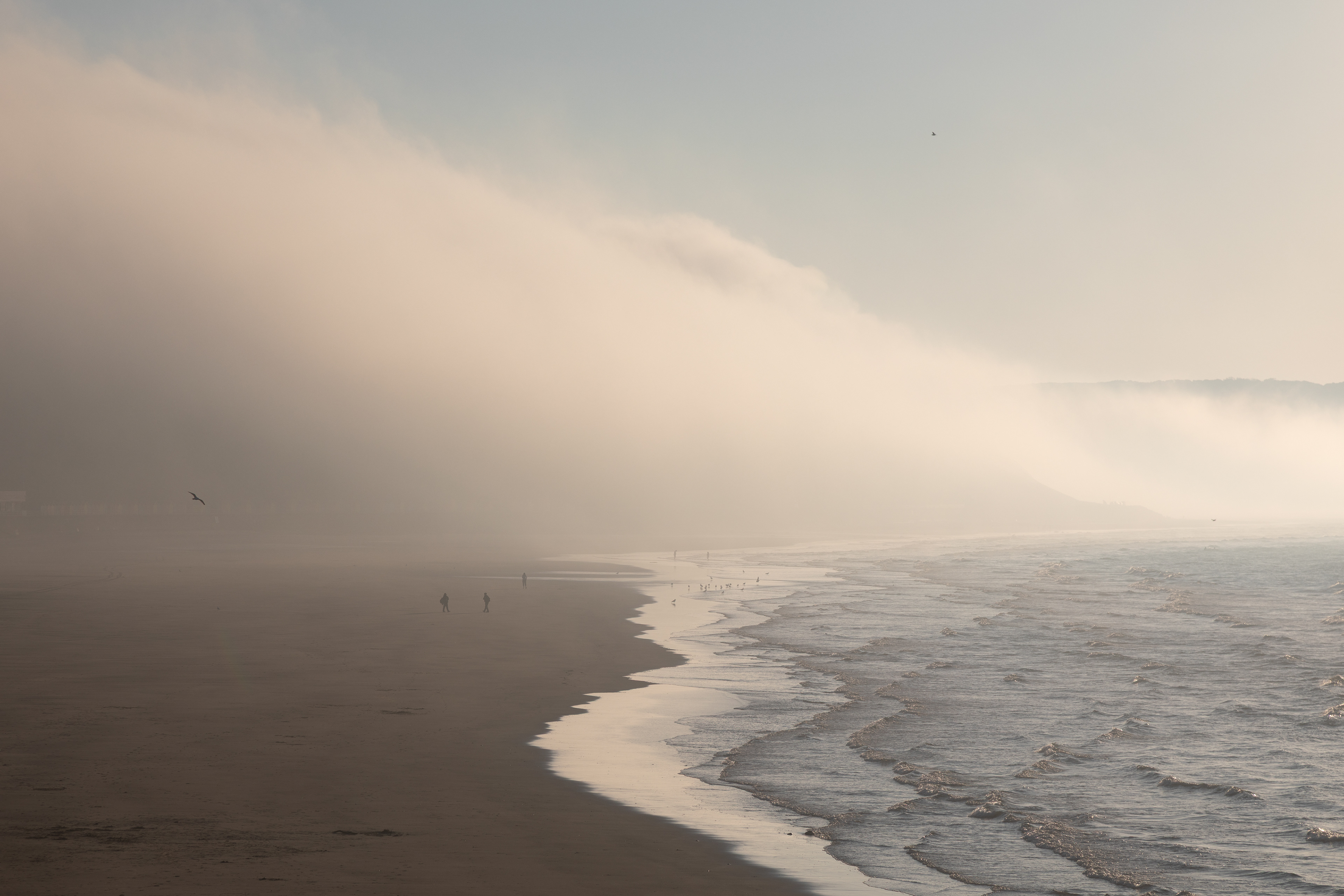 Misty Whitby
